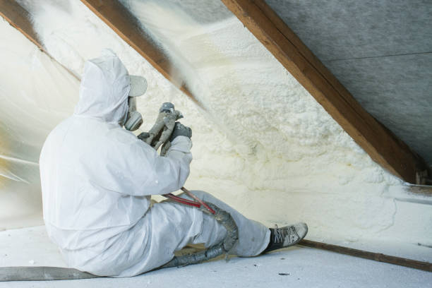 Best Batt and Roll Insulation  in North Utica, IL