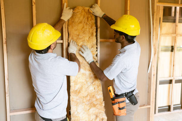 Best Commercial Insulation Services  in North Utica, IL