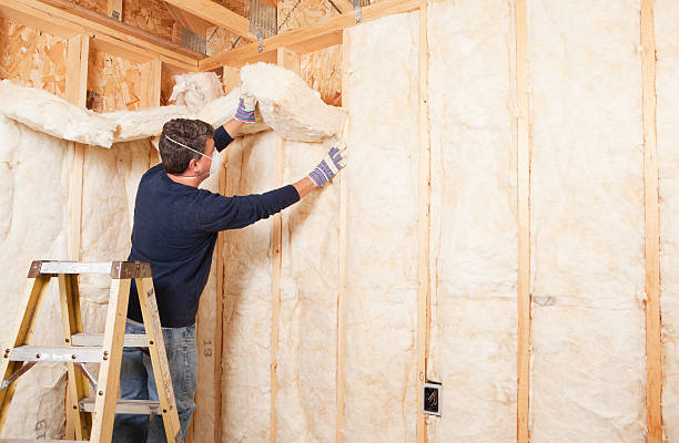 Best Insulation for New Construction  in North Utica, IL